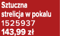 Sztuczna strelicja w pokalu 1525937 143,99 z 